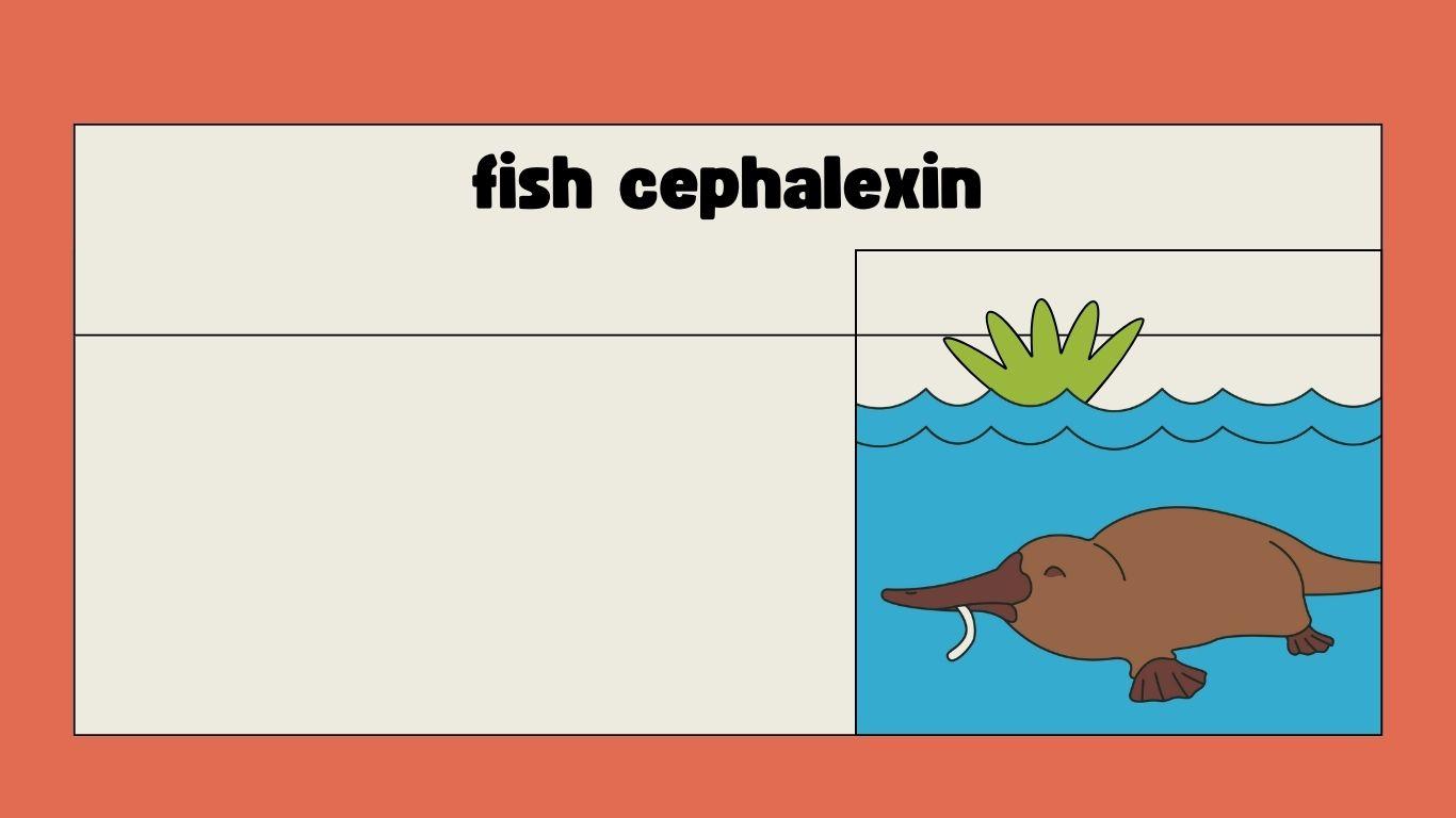 Fish Cephalexin